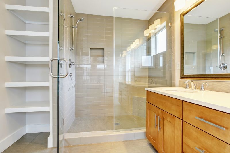 Frameless Shower Doors